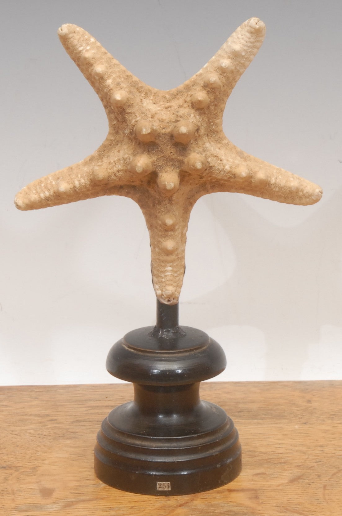 A Starfish
