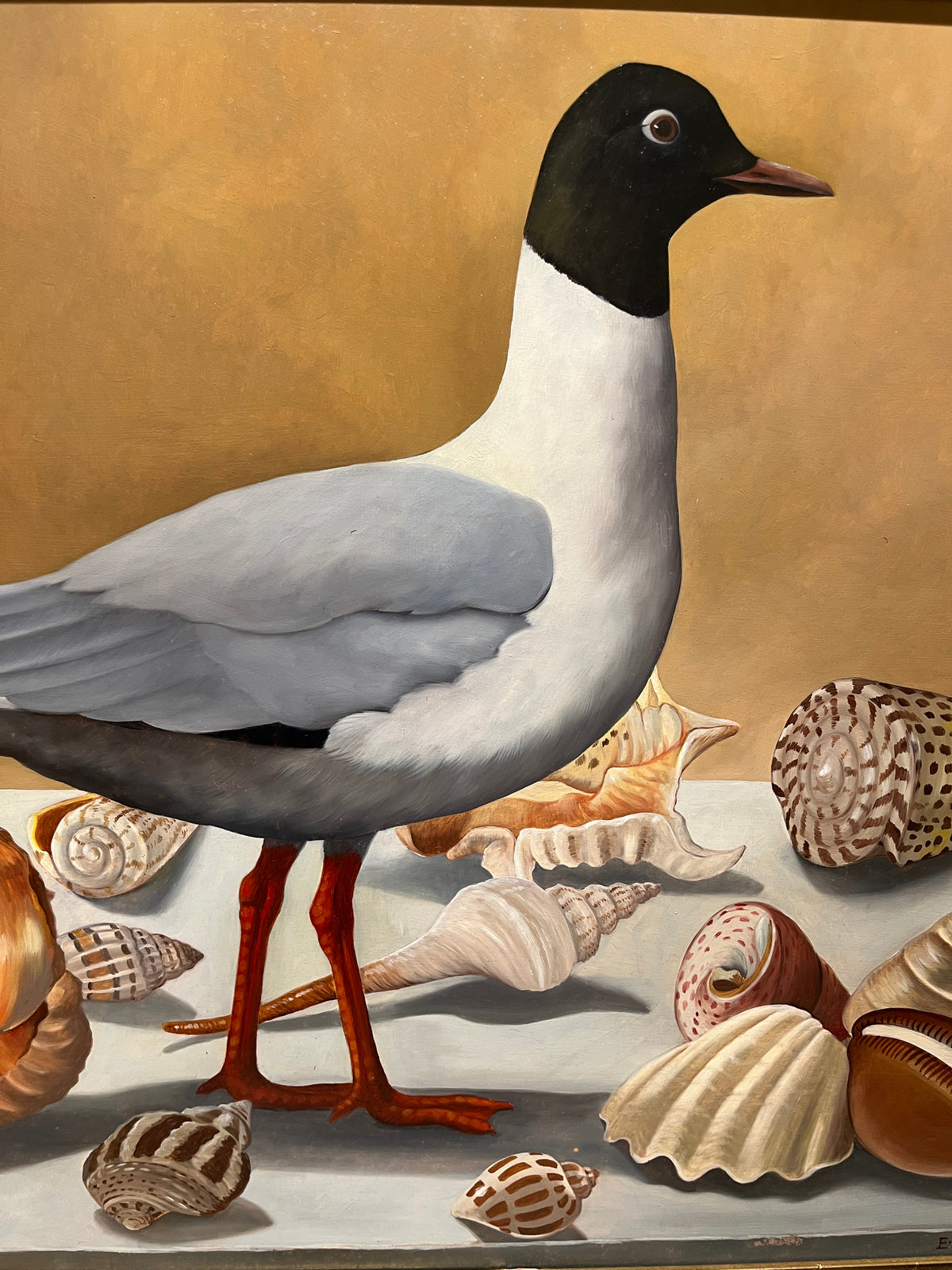 Lizzie Riches, 'Napoleon's's Gull', 1994, oil on board
