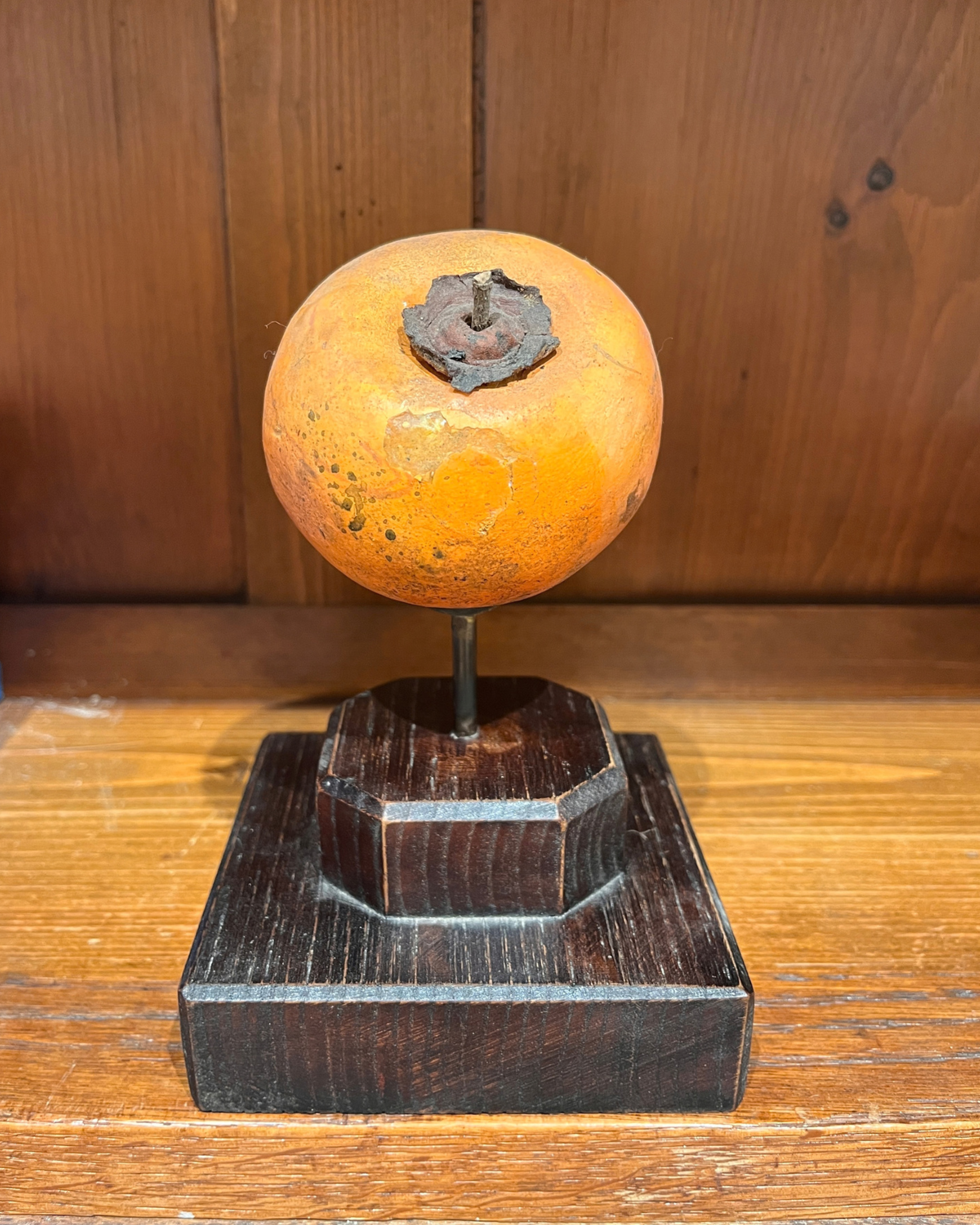 A painted gesso botanical model of a persimmon, early 20th century