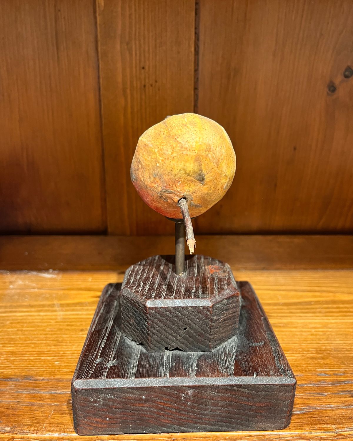 A painted gesso botanical model of a pomegranate, early 20th century