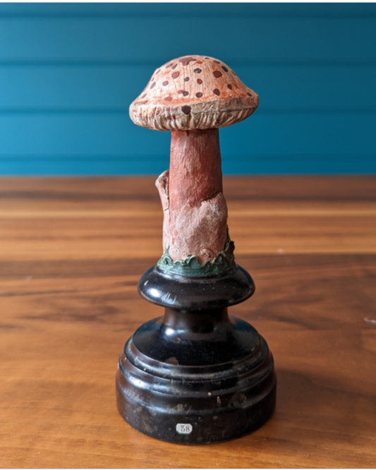 An antique botanical model of a mushroom