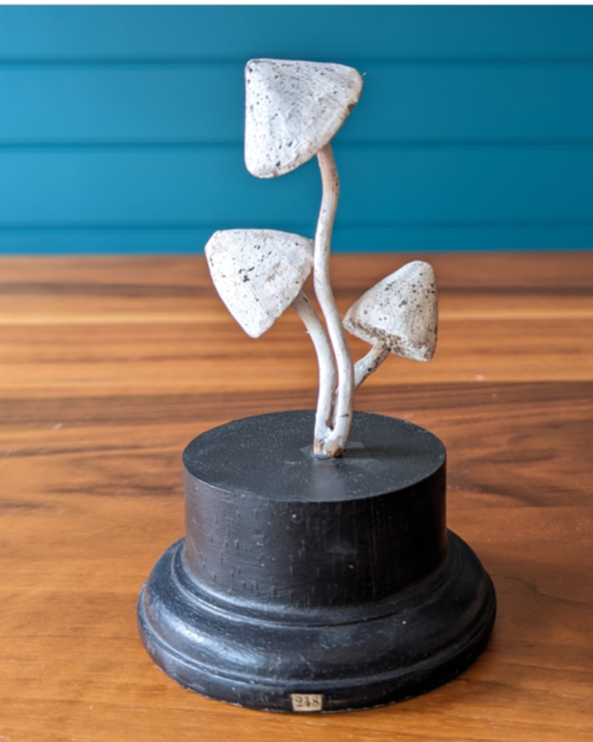 An antique botanical model of a mushroom