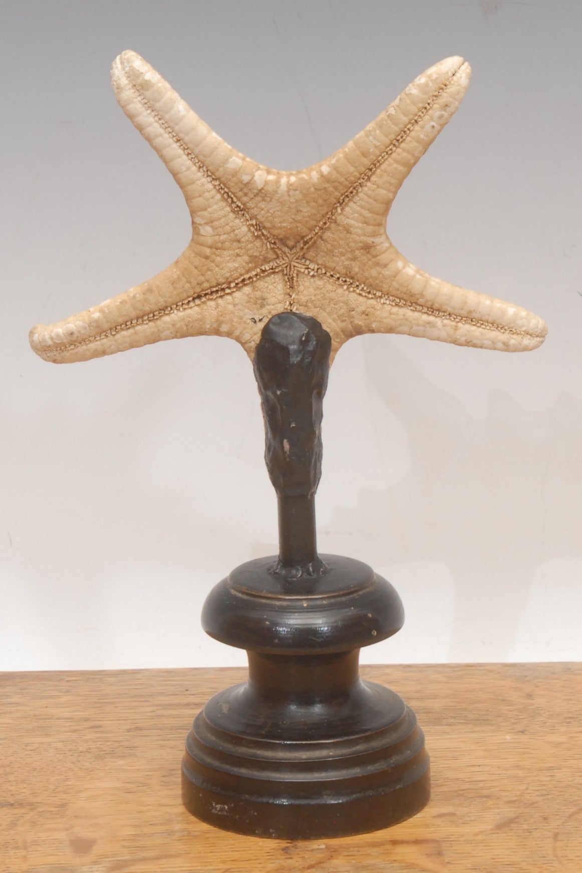A Starfish